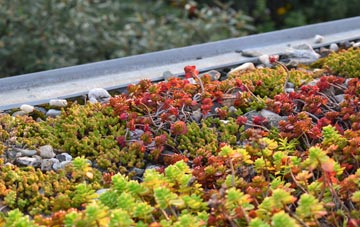 the cost of Llangunllo green roof installation
