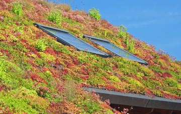 Llangunllo living roof systems